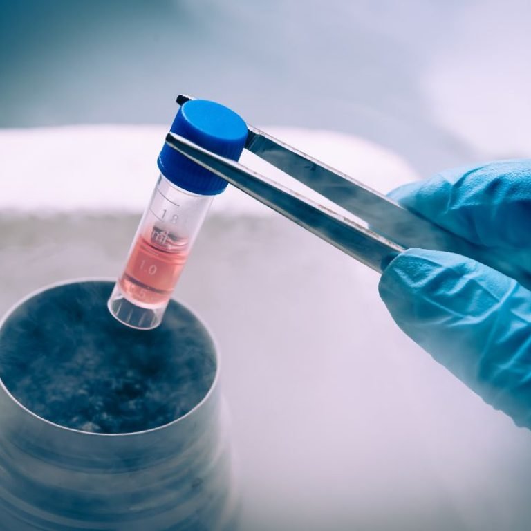 Stem Cell Regrowth Treatment in Bangalore with test tube.